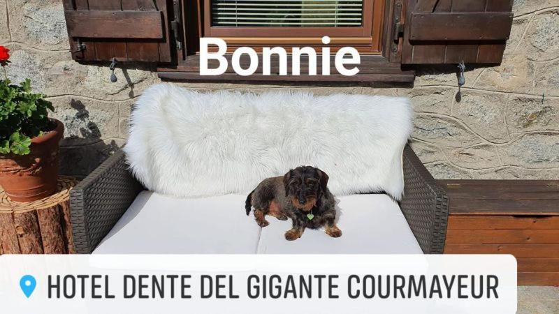 Hotel Dente Del Gigante Courmayeur Luaran gambar
